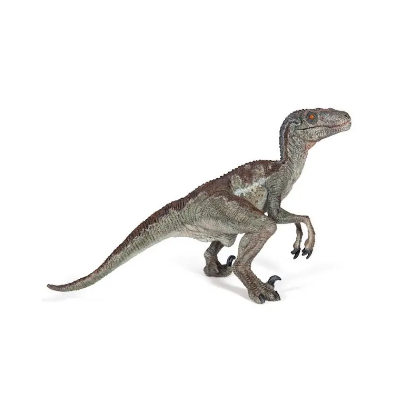 Papo Vélociraptor, dinosaure 55023< Figurines Papo